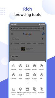 Lemur Browser 2.7.3.019. Скриншот 4