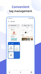 Lemur Browser 2.7.3.019. Скриншот 5