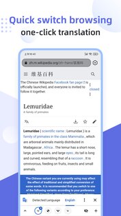 Lemur Browser 2.7.3.019. Скриншот 6