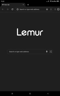 Lemur Browser 2.7.3.019. Скриншот 14