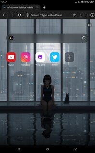 Lemur Browser 2.7.3.019. Скриншот 15