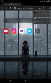 Lemur Browser 2.7.3.019. Скриншот 16