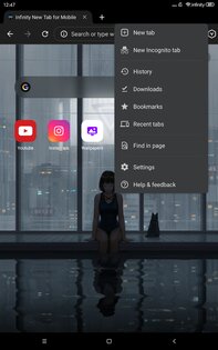 Lemur Browser 2.7.3.019. Скриншот 17