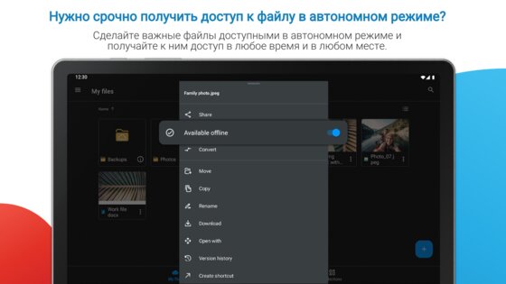 MobiDrive 4.7.11444. Скриншот 12