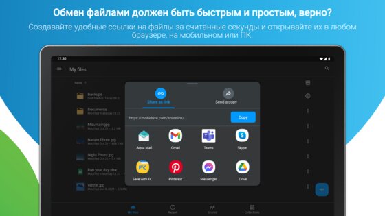 MobiDrive 4.7.11444. Скриншот 23