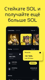 Solflare 2.10.2. Скриншот 7