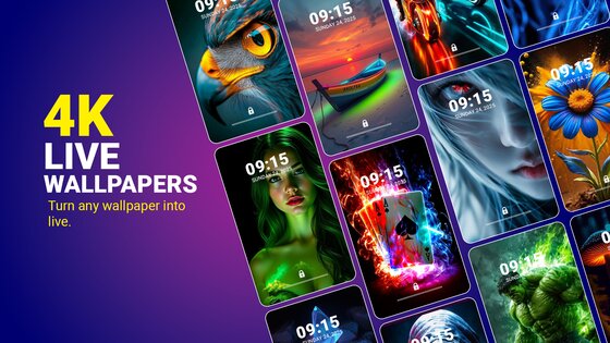 Video Wallpaper Maker Lite 3.3. Скриншот 14