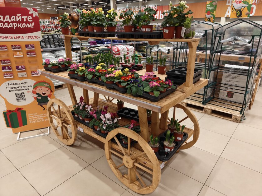 Мощный чип, Android 16 и 7400 мАч: обзор доступного флагмана OnePlus 15R — Качество снимков. 5