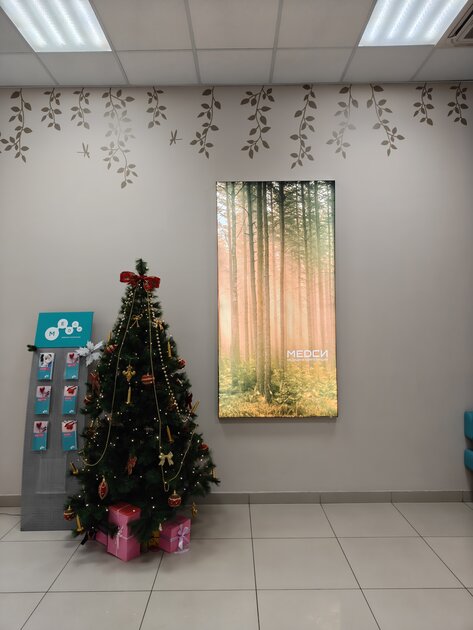 Мощный чип, Android 16 и 7400 мАч: обзор доступного флагмана OnePlus 15R — Качество снимков. 15