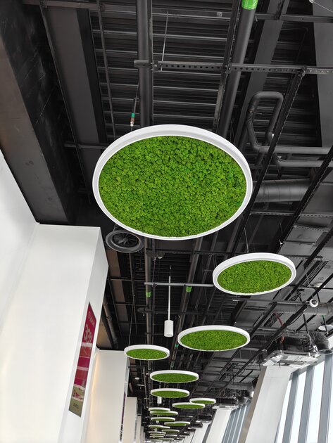 Мощный чип, Android 16 и 7400 мАч: обзор доступного флагмана OnePlus 15R — Качество снимков. 17