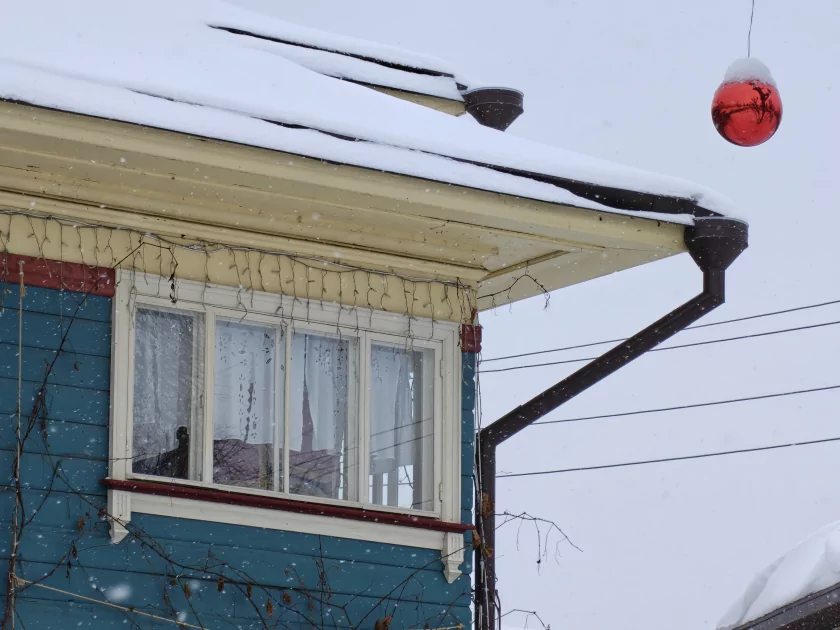 Сохраняет впечатления, выглядит стильно и не боится воды: обзор OPPO Reno15 5G — Качество снимков. 84