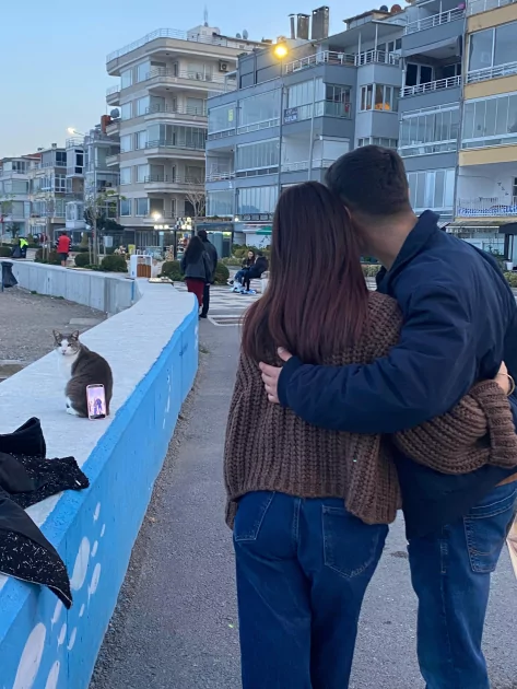 На кота облокотили смартфон, чтобы сделать селфи: в интернете вирусится забавное фото