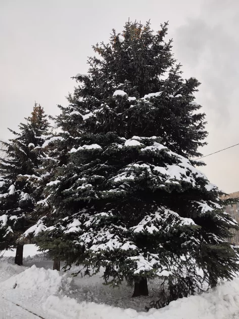 Зачем платить больше? Обзор REDMI Note 15 Pro+ 5G: почти флагман за разумные деньги — Камеры. 6