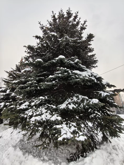 Зачем платить больше? Обзор REDMI Note 15 Pro+ 5G: почти флагман за разумные деньги — Камеры. 28