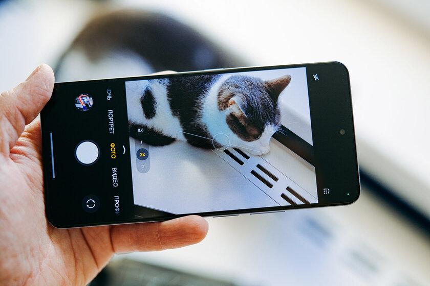 Ёмкая батарея, 108 Мп и приятный глазу дизайн: обзор HONOR X8d — Отзыв. 1