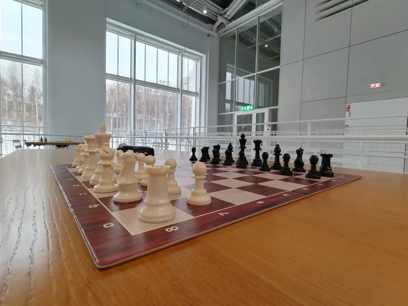 Ёмкая батарея, 108 Мп и приятный глазу дизайн: обзор HONOR X8d — Качество снимков. 30