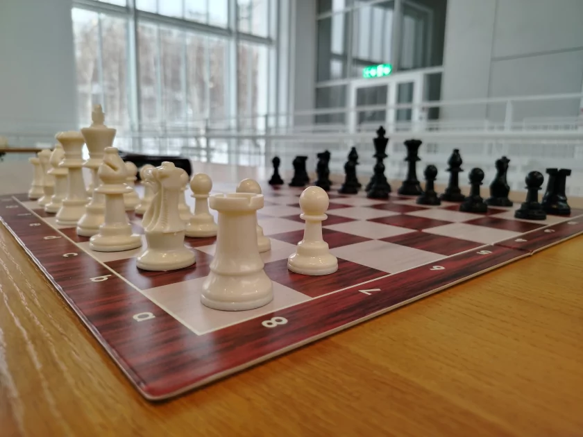 Ёмкая батарея, 108 Мп и приятный глазу дизайн: обзор HONOR X8d — Качество снимков. 6