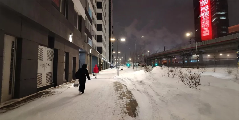 Ёмкая батарея, 108 Мп и приятный глазу дизайн: обзор HONOR X8d — Качество снимков. 43