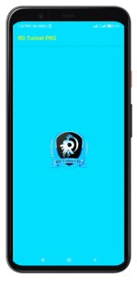 RD Tunnel Pro 6.0.0. Скриншот 1