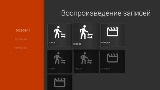 IP Camera Viewer 10.4.7. Скриншот 30