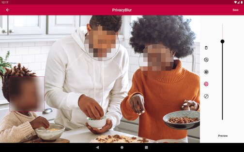 PrivacyBlur 2.2.1. Скриншот 16