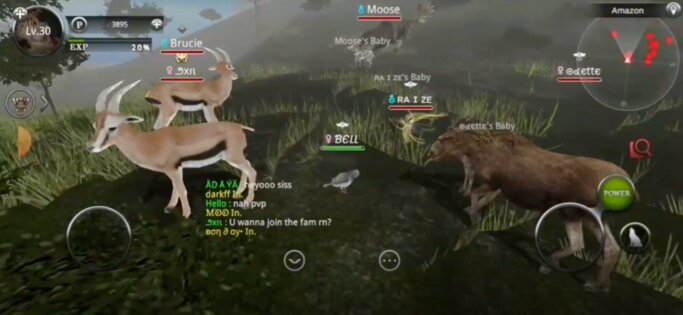 Wild Animals Online 9.3.0. Скриншот 3