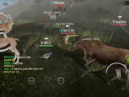 Wild Animals Online 9.3.0. Скриншот 8
