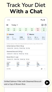 Journable 2.1.193. Скриншот 34