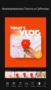 MOLDIV VideoLab 1.4.8. Скриншот 2