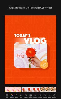 MOLDIV VideoLab 1.4.8. Скриншот 10