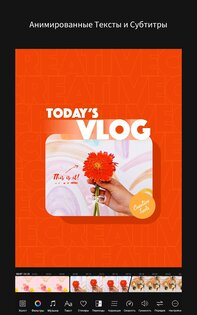 MOLDIV VideoLab 1.4.8. Скриншот 18