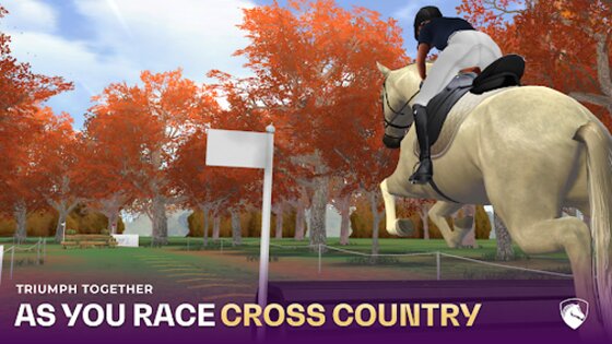 Equestriad World Tour 26 2.02. Скриншот 10