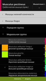 Anatomyka Atlas 3.3.0. Скриншот 3