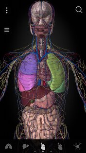 Anatomyka Atlas 3.3.0. Скриншот 4