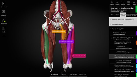 Anatomyka Atlas 3.3.0. Скриншот 10