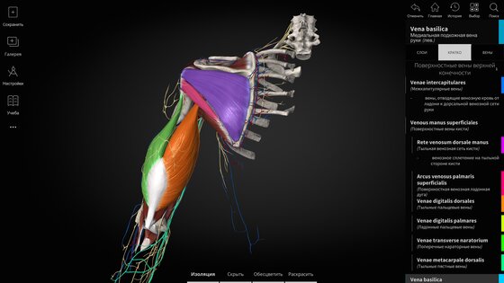Anatomyka Atlas 3.3.0. Скриншот 20