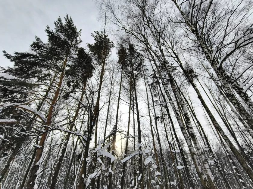 Рекорд автономности с батареей на 10 001 мАч: обзор недорогого realme P4 Power 5G — Качество снимков. 45