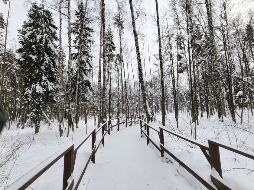 Рекорд автономности с батареей на 10 001 мАч: обзор недорогого realme P4 Power 5G — Качество снимков. 46