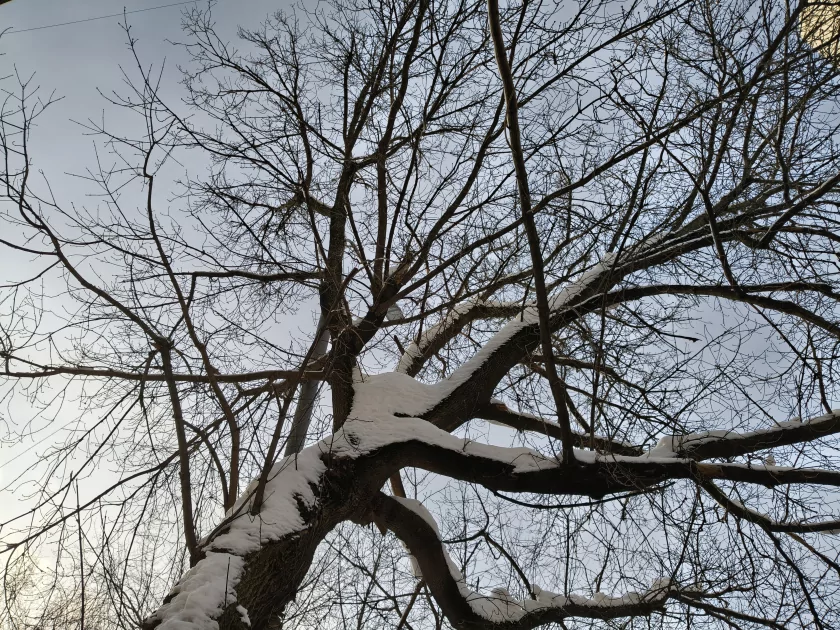 Рекорд автономности с батареей на 10 001 мАч: обзор недорогого realme P4 Power 5G — Качество снимков. 2