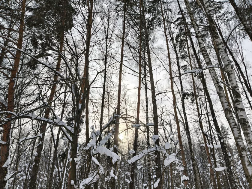 Рекорд автономности с батареей на 10 001 мАч: обзор недорогого realme P4 Power 5G — Качество снимков. 5