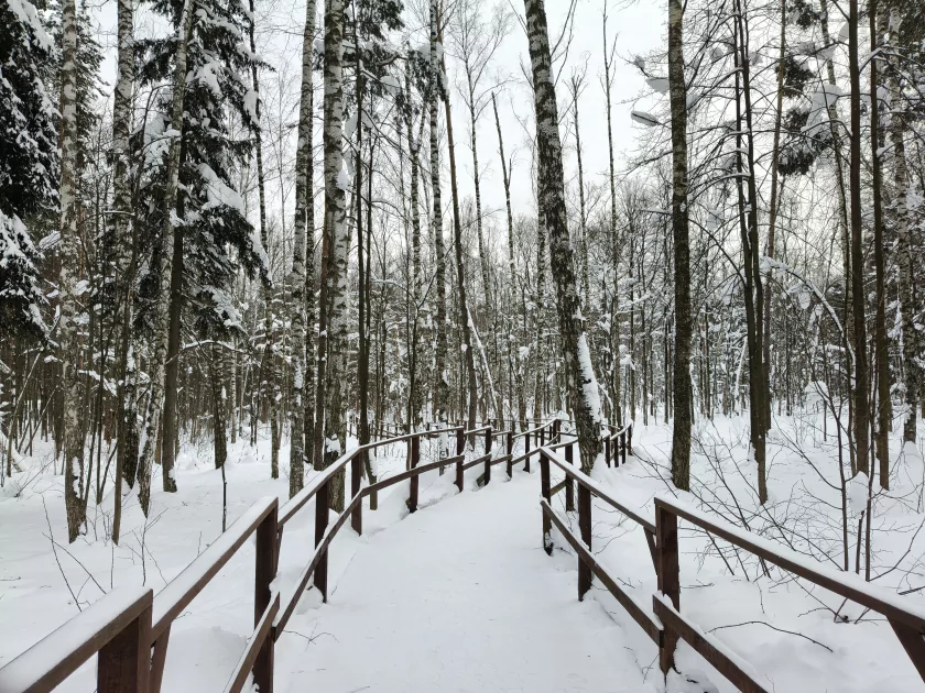 Рекорд автономности с батареей на 10 001 мАч: обзор недорогого realme P4 Power 5G — Качество снимков. 6