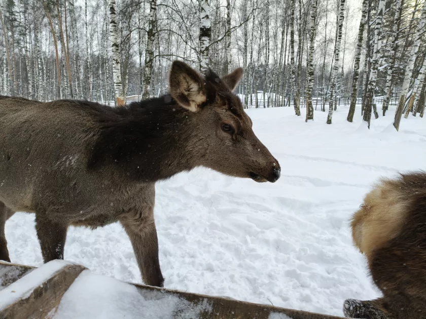 Рекорд автономности с батареей на 10 001 мАч: обзор недорогого realme P4 Power 5G — Качество снимков. 11