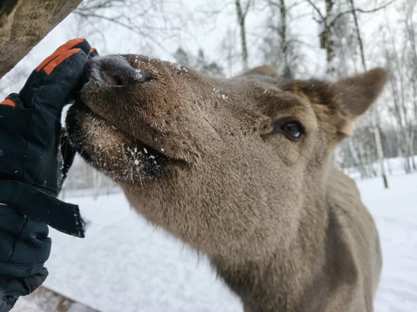 Рекорд автономности с батареей на 10 001 мАч: обзор недорогого realme P4 Power 5G — Качество снимков. 12