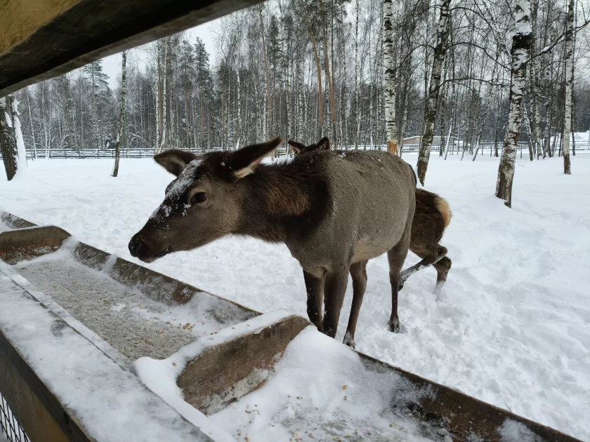 Рекорд автономности с батареей на 10 001 мАч: обзор недорогого realme P4 Power 5G — Качество снимков. 13