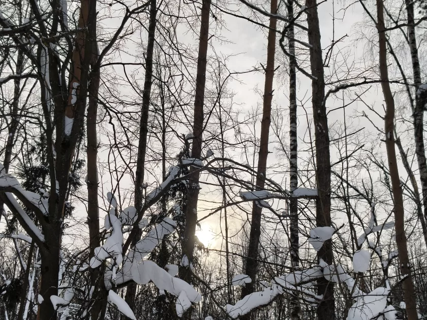 Рекорд автономности с батареей на 10 001 мАч: обзор недорогого realme P4 Power 5G — Качество снимков. 26