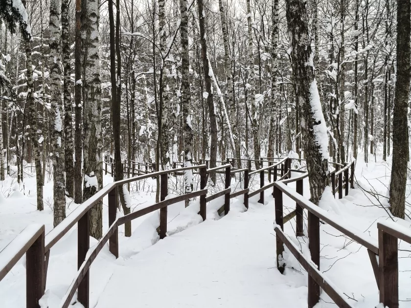 Рекорд автономности с батареей на 10 001 мАч: обзор недорогого realme P4 Power 5G — Качество снимков. 27