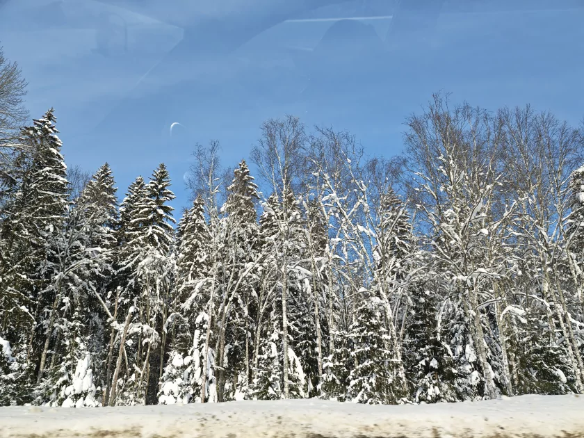 200 Мп, флагманский чип и ёмкая батарея: обзор HONOR Magic8 Pro — Качество снимков. 1