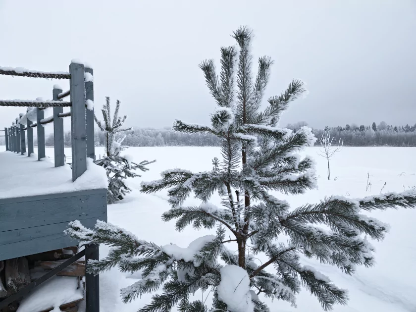 200 Мп, флагманский чип и ёмкая батарея: обзор HONOR Magic8 Pro — Качество снимков. 4