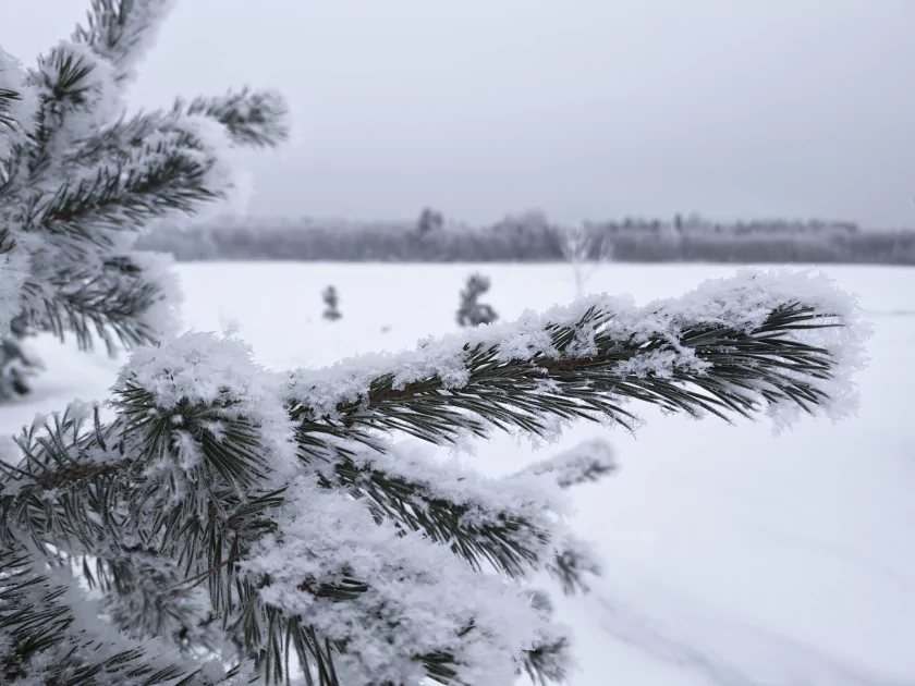 200 Мп, флагманский чип и ёмкая батарея: обзор HONOR Magic8 Pro — Качество снимков. 5