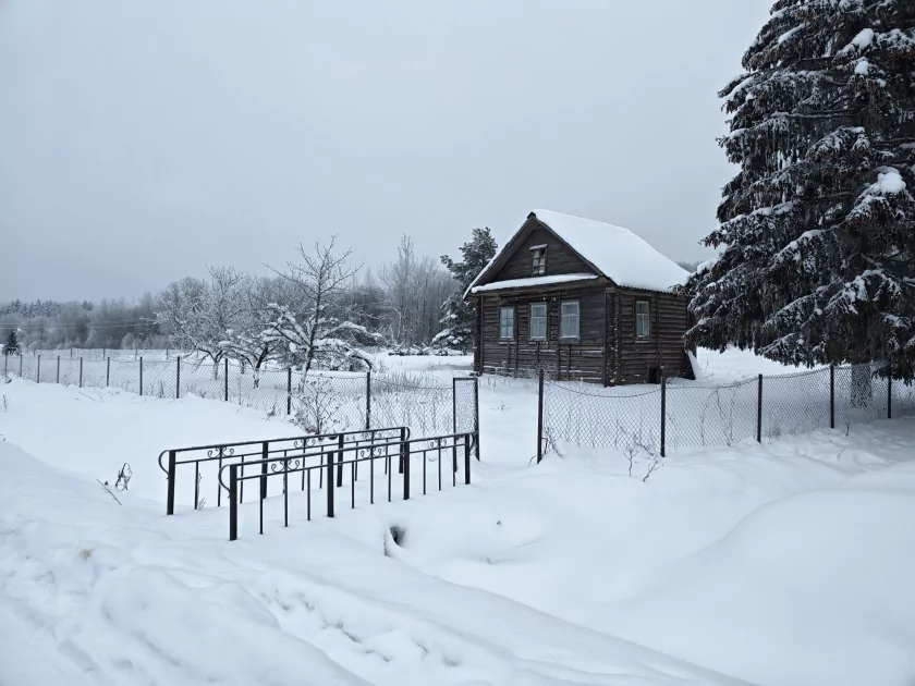 200 Мп, флагманский чип и ёмкая батарея: обзор HONOR Magic8 Pro — Качество снимков. 6